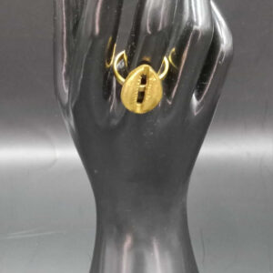African Brass Ring Cowrie